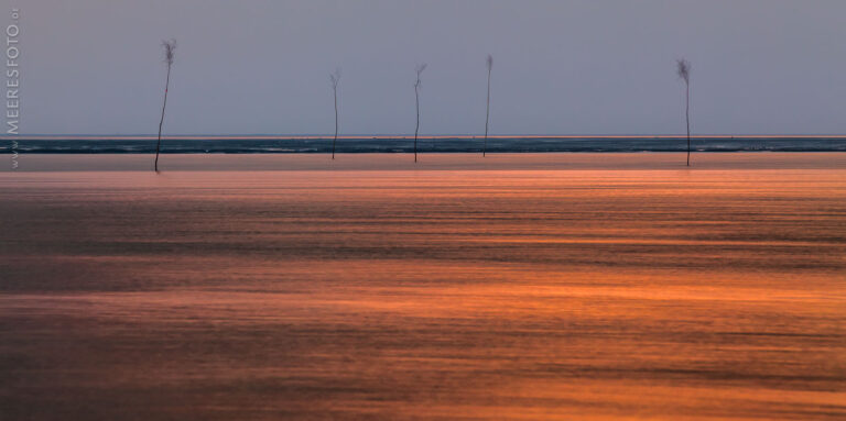 Nordseelicht im Sommer