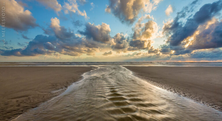 Nordseepriel