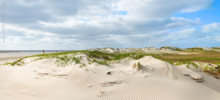 Dünen und Strand in St. Peter